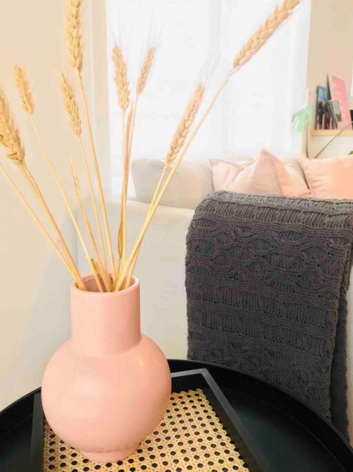 The Blush House Apartment Hobart Luaran gambar
